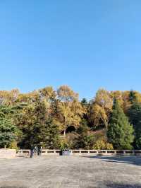 南京｜緬懷革命先烈，傳承紅色基因——雨花台景區