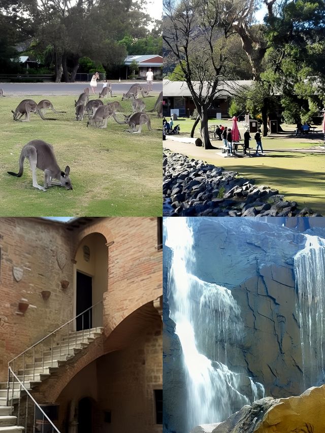 澳洲霍爾斯山谷之旅