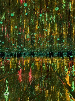 This glass art museum is so healing and photogenic!