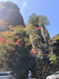 秦嶺峽口紅葉感受大自然的鬼斧神工