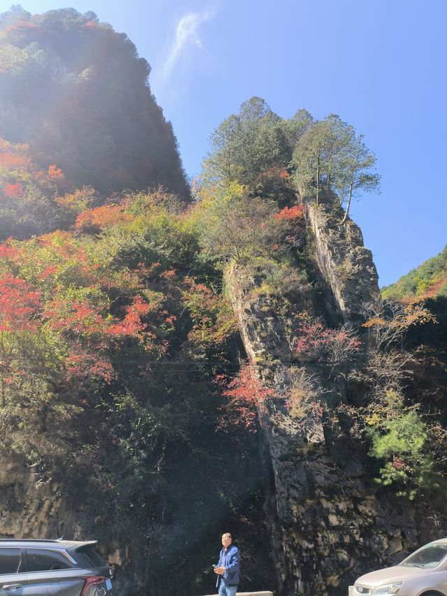秦嶺峽口紅葉感受大自然的鬼斧神工