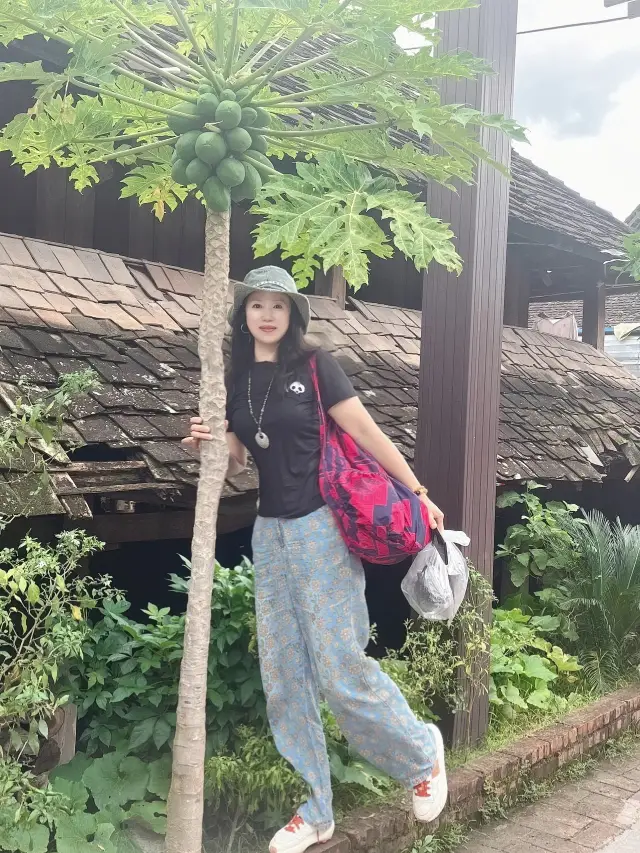 "Manzhang Village: A Rural Wonderland You Won't Want to Leave"