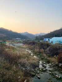 中華山鳥類省級自然保護區