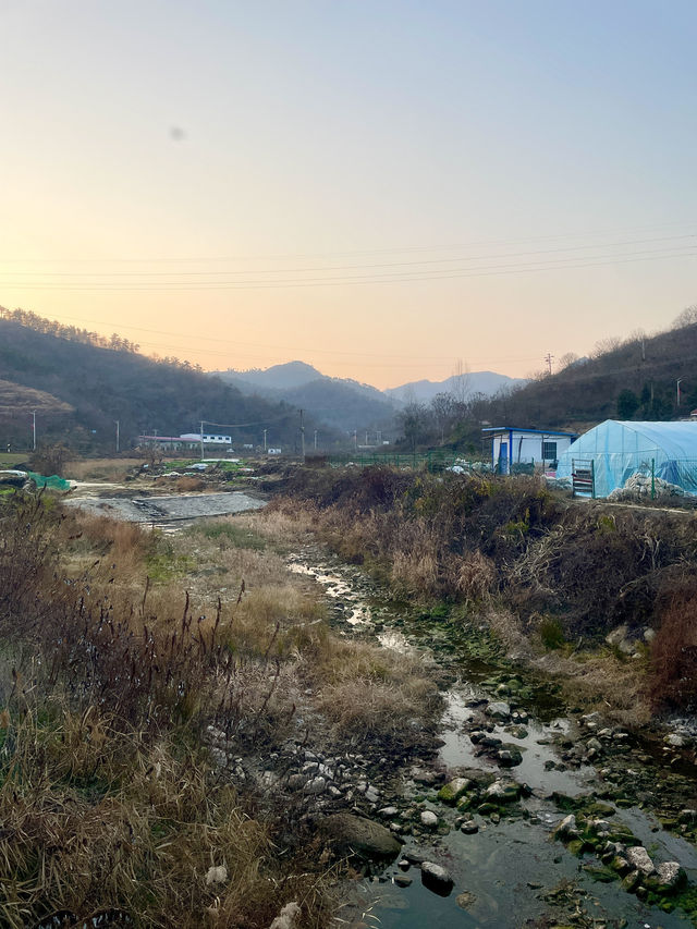 中華山鳥類省級自然保護區