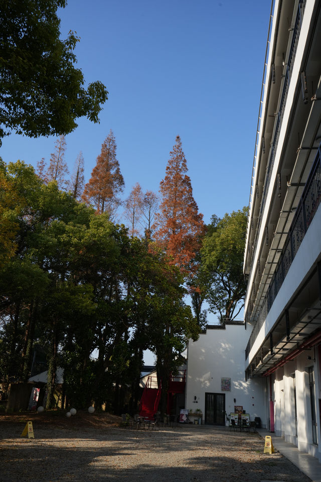 上海|松江這條街全是古宅安靜又美好
