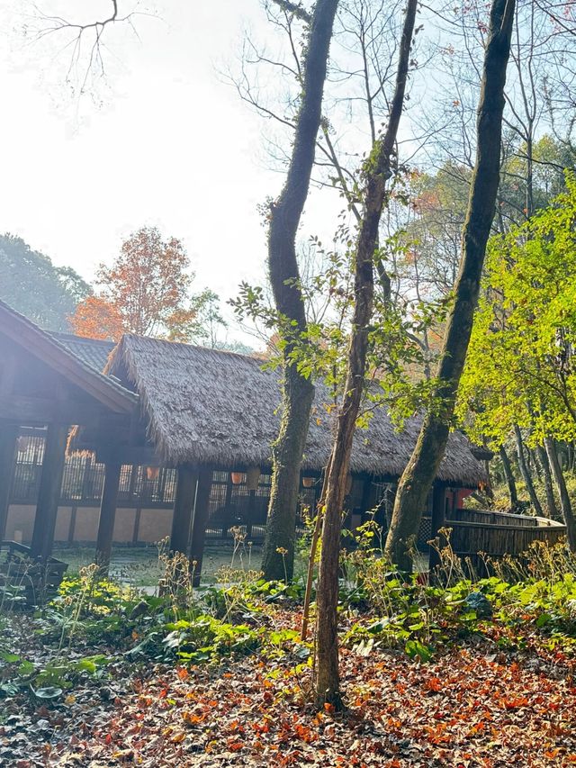 肇慶爛柯山探秘一場穿越時空的山水之旅