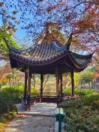 今年來晚了 紅園 可你還是那麼美