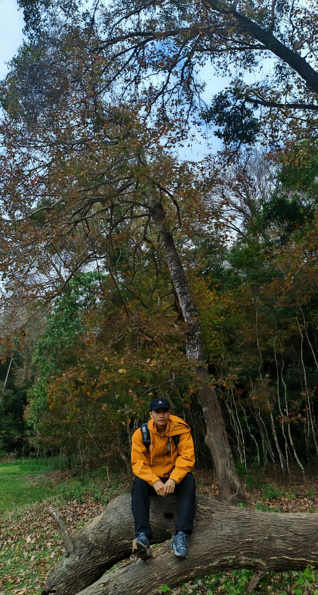 據說這是海南版的九寨溝