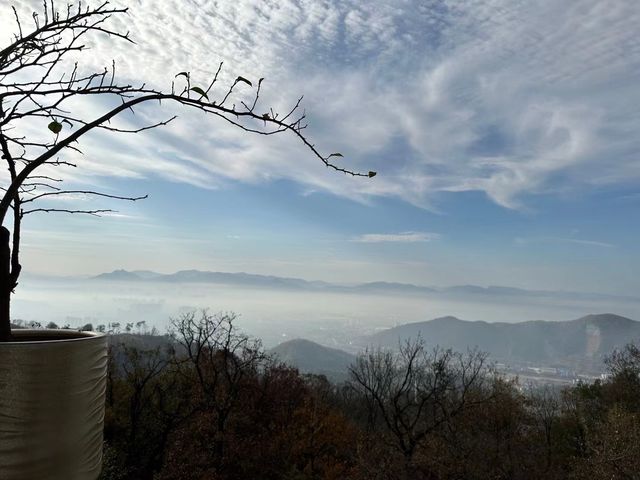 武漢周邊2小時車程，帶小朋友去山裏度個小假～