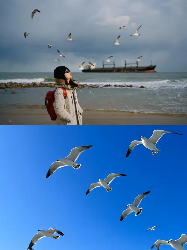 威海——真的美哭我