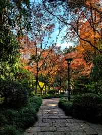 光啟公園,中國近代科學之源