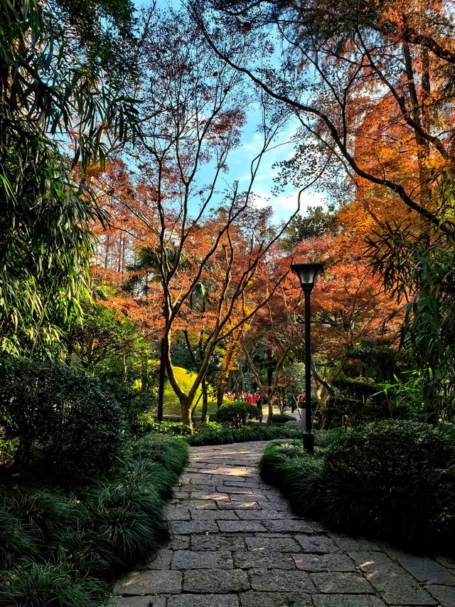 光啟公園,中國近代科學之源 光啟公園,中國近代科學之源
