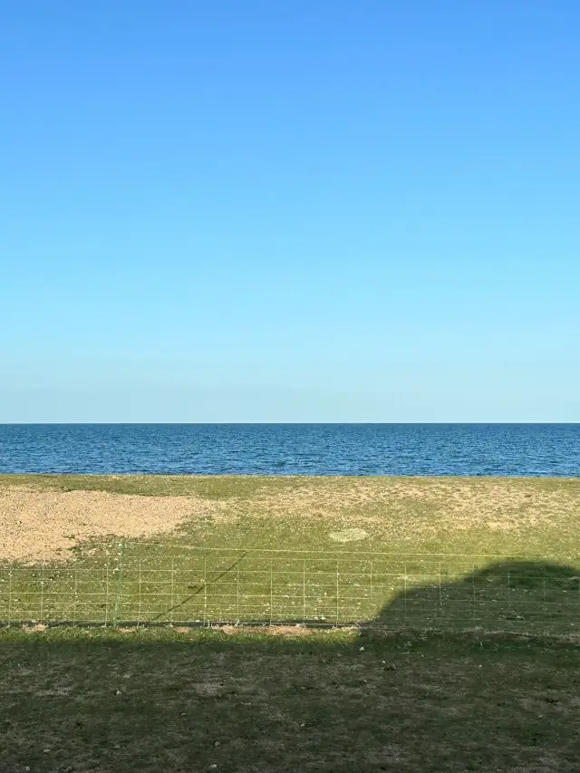 8일간의 닝샤-간쑤-칭하이 여행 필수 코스 아름다운 풍경 수확기 가동