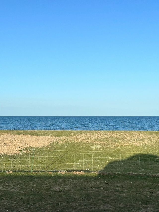 8日暢遊寧夏-甘肅-青海 美景收割機啟動必收藏