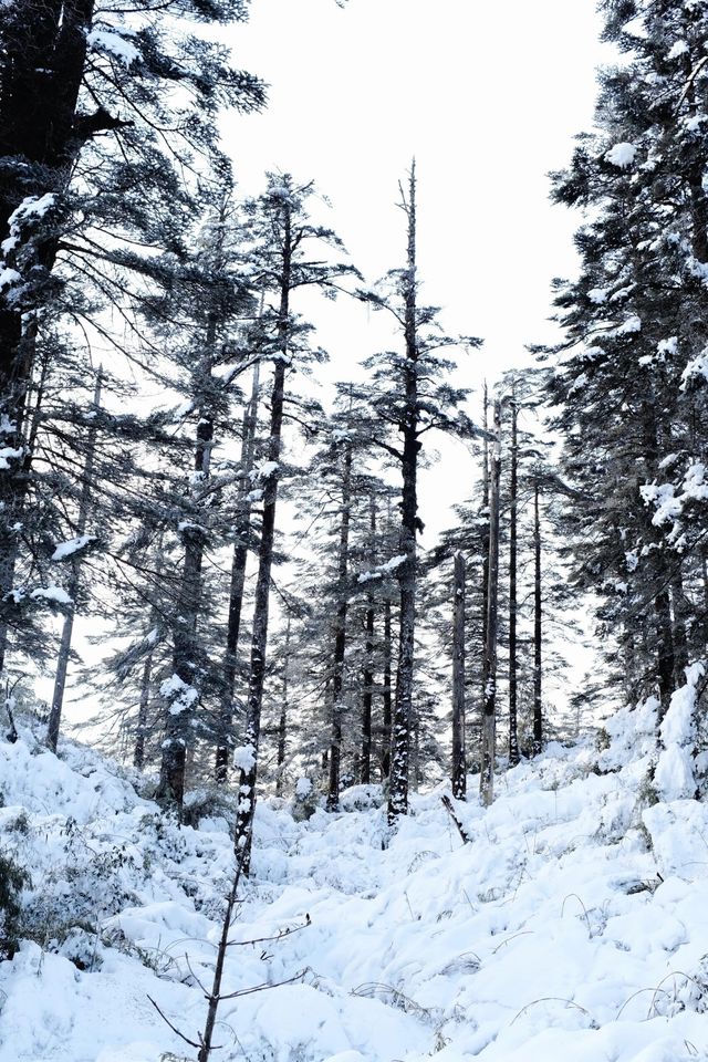 瓦屋山
