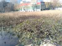 西安最早嘅公園
