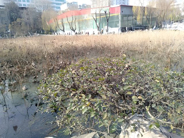 西安最早嘅公園