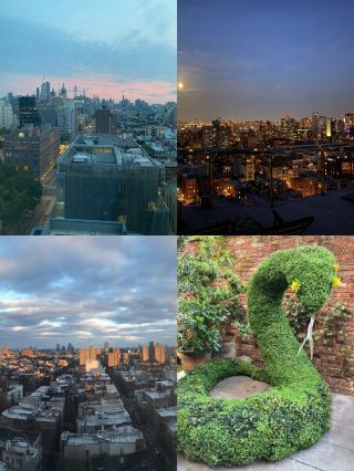 The Standard, East Village | Modern Design and Comfort