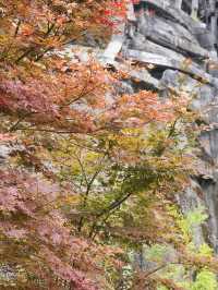 重慶2日遊 輕鬆打卡熱門景點