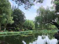 寧波月湖公園 | 宛如仙境的城市綠洲