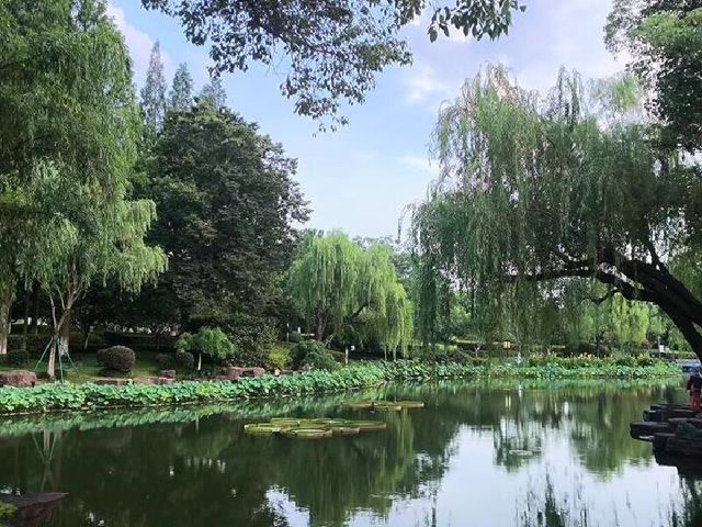 寧波月湖公園 | 宛如仙境的城市綠洲