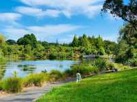 Auckland Botanic Gardens: A Scenic Escape