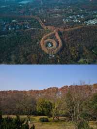 梧桐公館探秘古都雅韻，棲居梧桐之畔