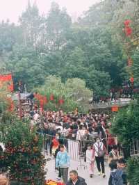 六祖故里，禪意名城