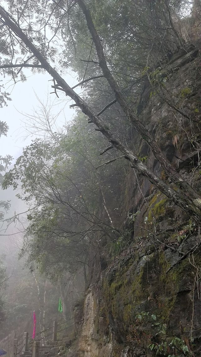 白岩山上白岩寺，立春時節春雨盛