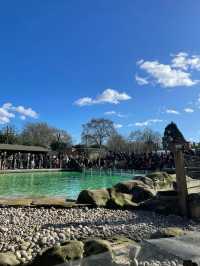 Visit London Zoo in Winter for a Unique Experience