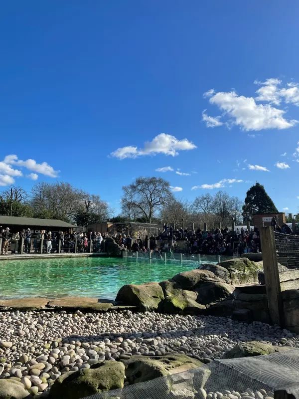 Visit London Zoo in Winter for a Unique Experience