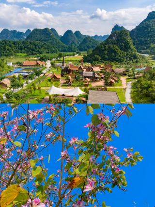 Explore Baise, Guangxi: A Magical Journey to the Kingdom of Ponies
