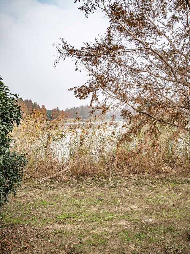 休閒好去處青西郊野公園