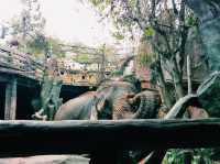 Changlu Farm: Great Experience in The 100% Quality Enterntainment Park