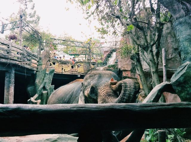 Changlu Farm: Great Experience in The 100% Quality Enterntainment Park