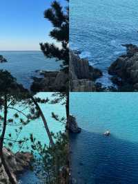 蔚山：韓半島的多元魅力密碼