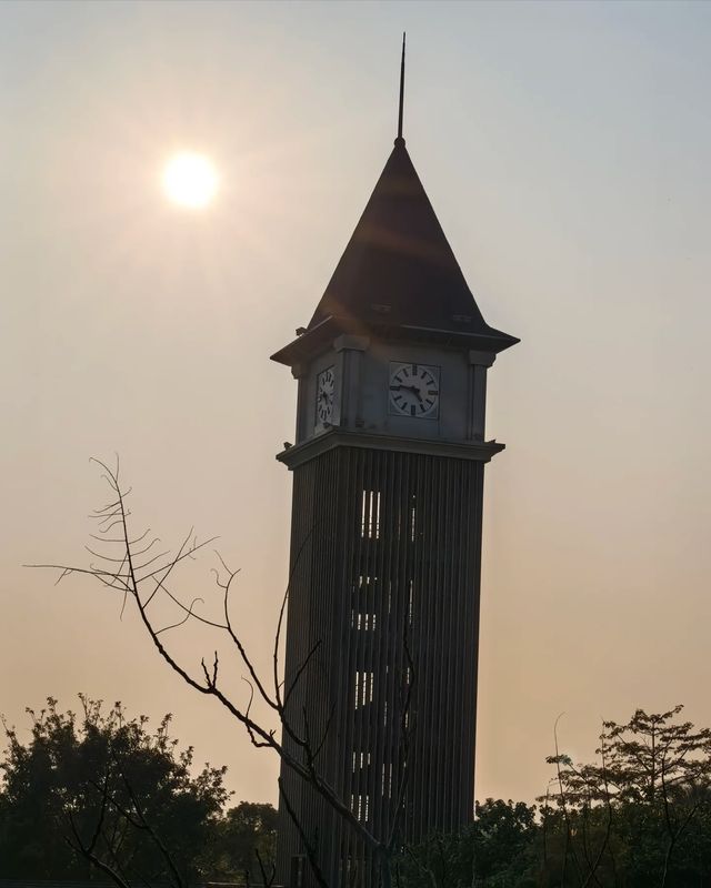 揭陽寶藏地 | 貝多芬森林公園，超讚！