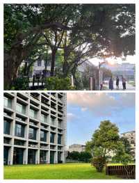 台北必逛！松山文創園，文藝與自然的夢幻交織。