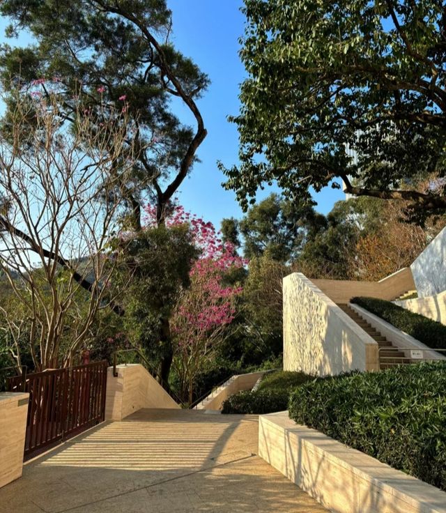 好天氣不容錯過|深圳市區小眾公園！
