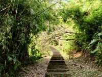 台北陽明山國家公園｜自然野趣與地質奇觀之旅