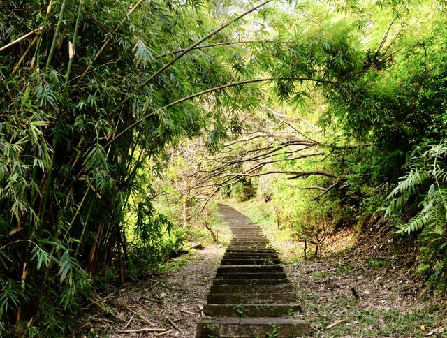 台北陽明山國家公園｜自然野趣與地質奇觀之旅