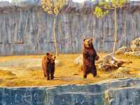 武漢動物園遊玩攻略