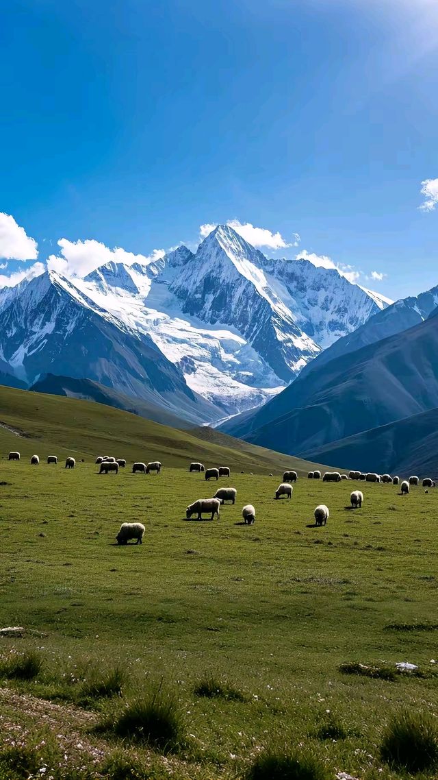 西藏旅行攻略：赴一场心灵之約