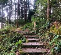 城市綠肺，天然氧吧，中坡山森林公園