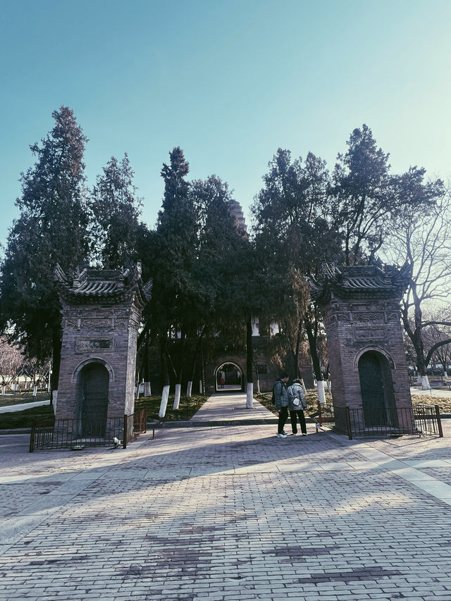 小雁塔遺址公園的一天