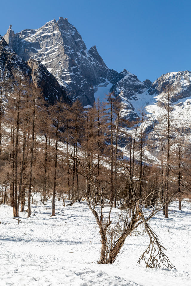 寒假親子遊來畢棚溝賞雪景吧