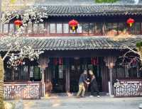 上海市花——白玉蘭