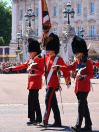 Don't Miss Out! Buckingham Palace Only Opens in Summer