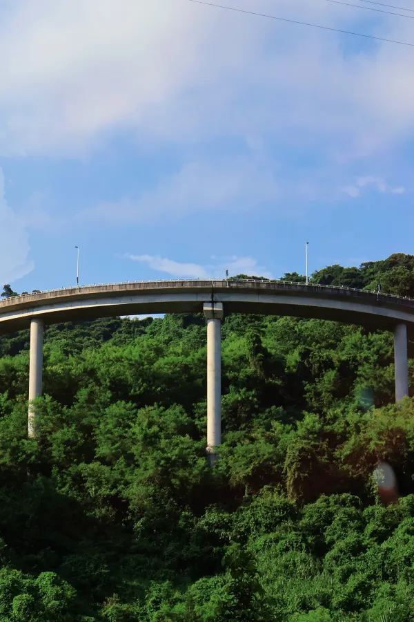 恩上水庫徒步攻略 | 遇絕美海景&綠意濕地🌿