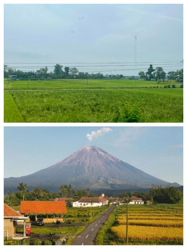 探索印尼泗水：一段難忘的旅程